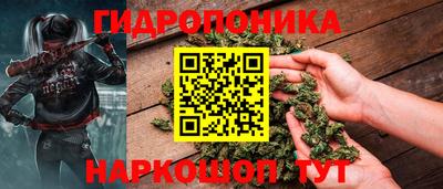шишки Севастополь