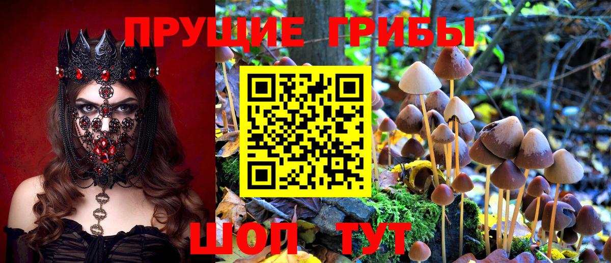 Галлюциногенные грибы Cubensis  Вход с VPN  Псилоцибиновые грибы мицелий  Орск 