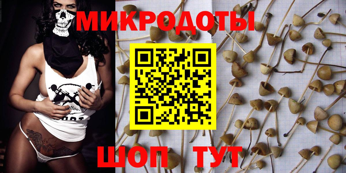 Галлюциногенные грибы Magic Shrooms Орск